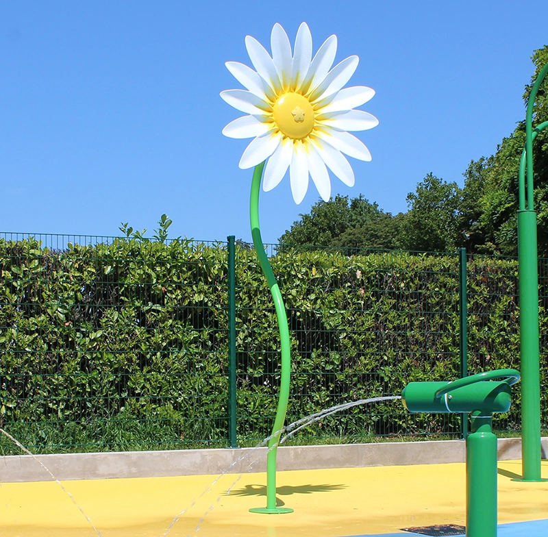 Fleurs, Champignons Fleurs, Champignons