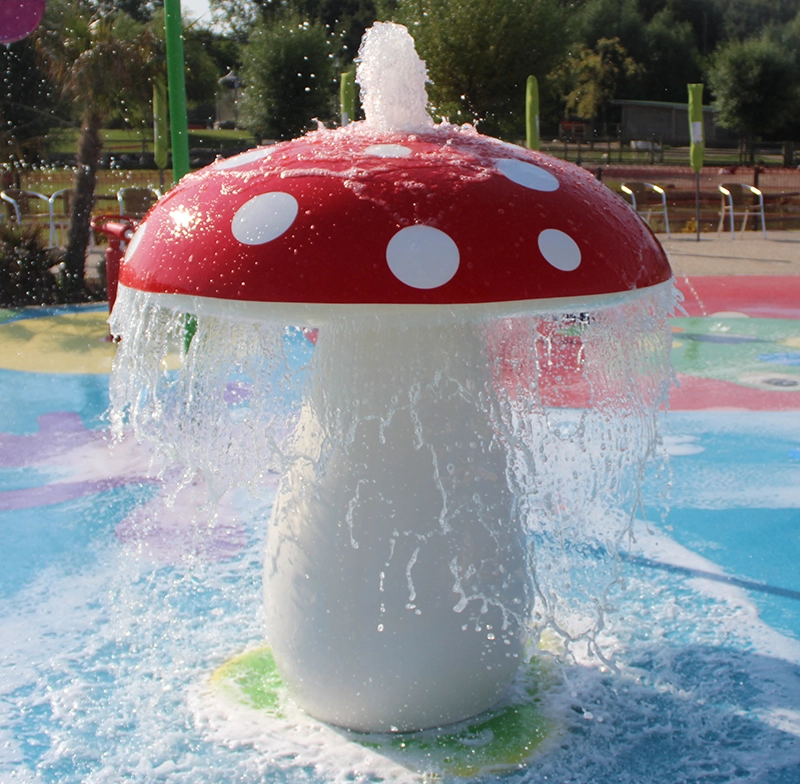 Champignons, cèpes Champignons, cèpes